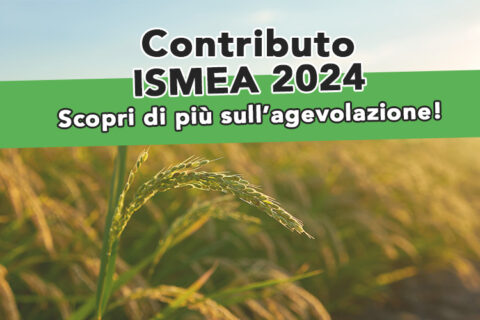 Contributo ISMEA 2024: tutto quello che devi sapere