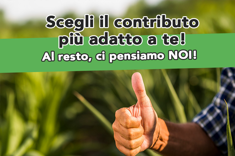 Scegli il contributo più adatto a te!