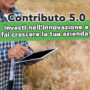 Contributo 5.0: scopri tutto sull’agevolazione